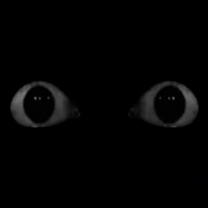 profile_The Eyes