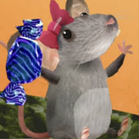 profile_Rat