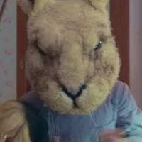 Bunny Doctor MBTI Personality Type image