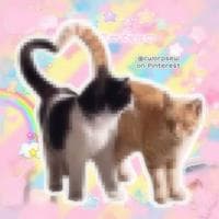 Cutecore MBTI Personality Type image