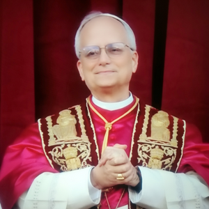 Papa Leone XIV - Pope Leo XIV MBTI Personality Type image