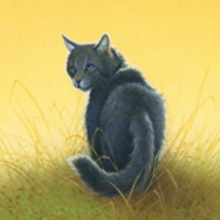 Cinderpelt mbtiパーソナリティタイプ image