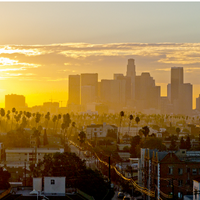 Los Santos (GTA 5) MBTI Personality Type image