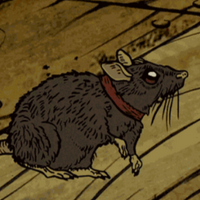 Plague Rat Captain K'Nuckles the Second MBTI Personality Type image