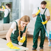 Maid / Housekeeping Cleaner тип личности MBTI image