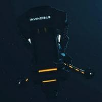 profile_The Invincible I
