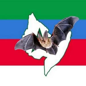 720P BAT MAPPING MBTI Personality Type image