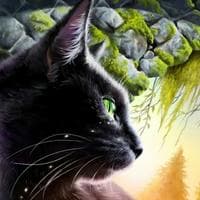 Hollyleaf mbtiパーソナリティタイプ image