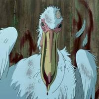 profile_Noble Pelican