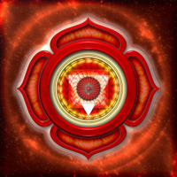 profile_Root Chakra : Muladhara