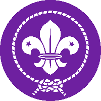 profile_Scouts