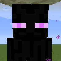 Enderman (mob) mbti kişilik türü image