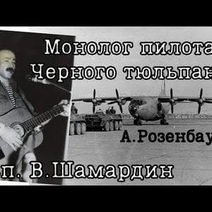 Александр Розенбаум - Монолог пилота Черного тюльпана tipo de personalidade mbti image