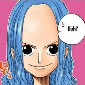Nefertari Vivi MBTI Personality Type image