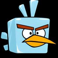 profile_Ice Bird