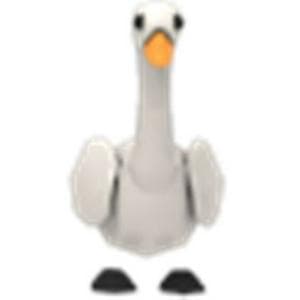 profile_Swan