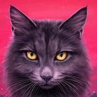 Graystripe type de personnalité MBTI image