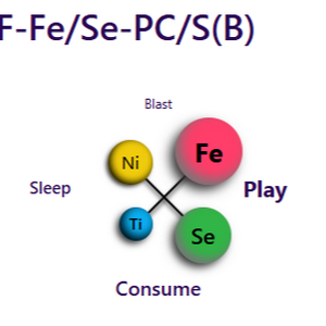 profile_Fe/Se-FF-PC/S(B)