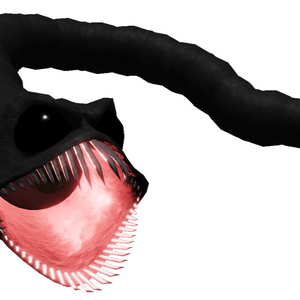 profile_Slugfish