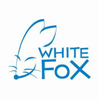 White Fox mbti kişilik türü image