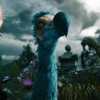 The Dodo MBTI Personality Type image