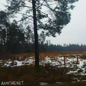 profile_лампабикт - Ирония