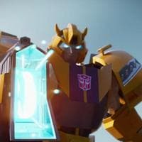 profile_Bumblebee