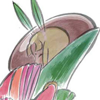 profile_Kaguya