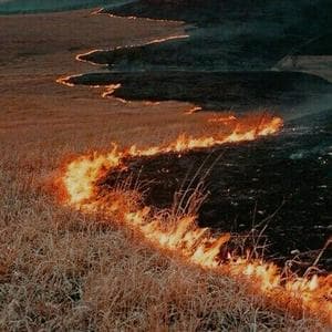 profile_Kapha - Pitta