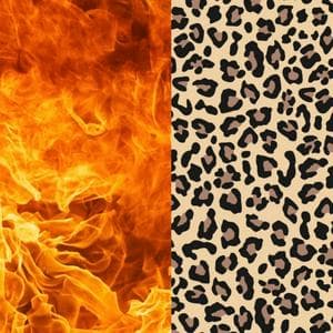 profile_Scary Ginger