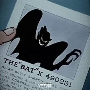 The “Bat” MBTI Personality Type image