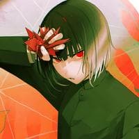 profile_Hinode