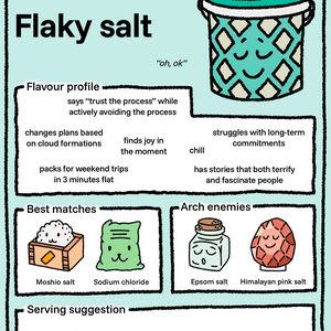 profile_Flaky salt