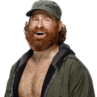 profile_Sami Zayn