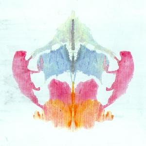 profile_Blot 8
