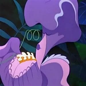 Snooty Iris MBTI Personality Type image