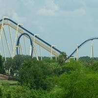 Montu (roller coaster) MBTI Personality Type image