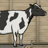 profile_The Cow