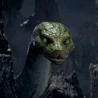 Kaa MBTI Personality Type image