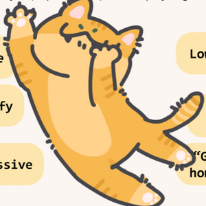profile_Orange Cat