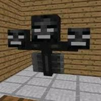 profile_Multus