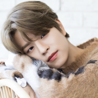 profile_Kim Seungmin (Stray Kids)