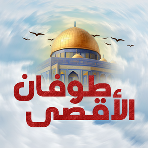 البورد الفلسطيني MBTI Personality Type image