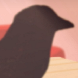 the Crow MBTI Personality Type image