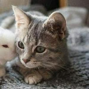 profile_Cute