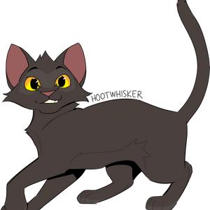 Hootwhisker MBTI Personality Type image