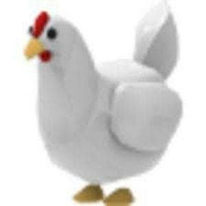 profile_Chicken