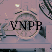VNPB (The Samurai) MBTI Personality Type image