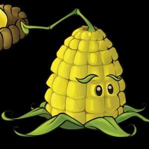 profile_Kernel-Pult