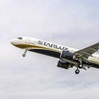 Starlux Airlines MBTI Personality Type image